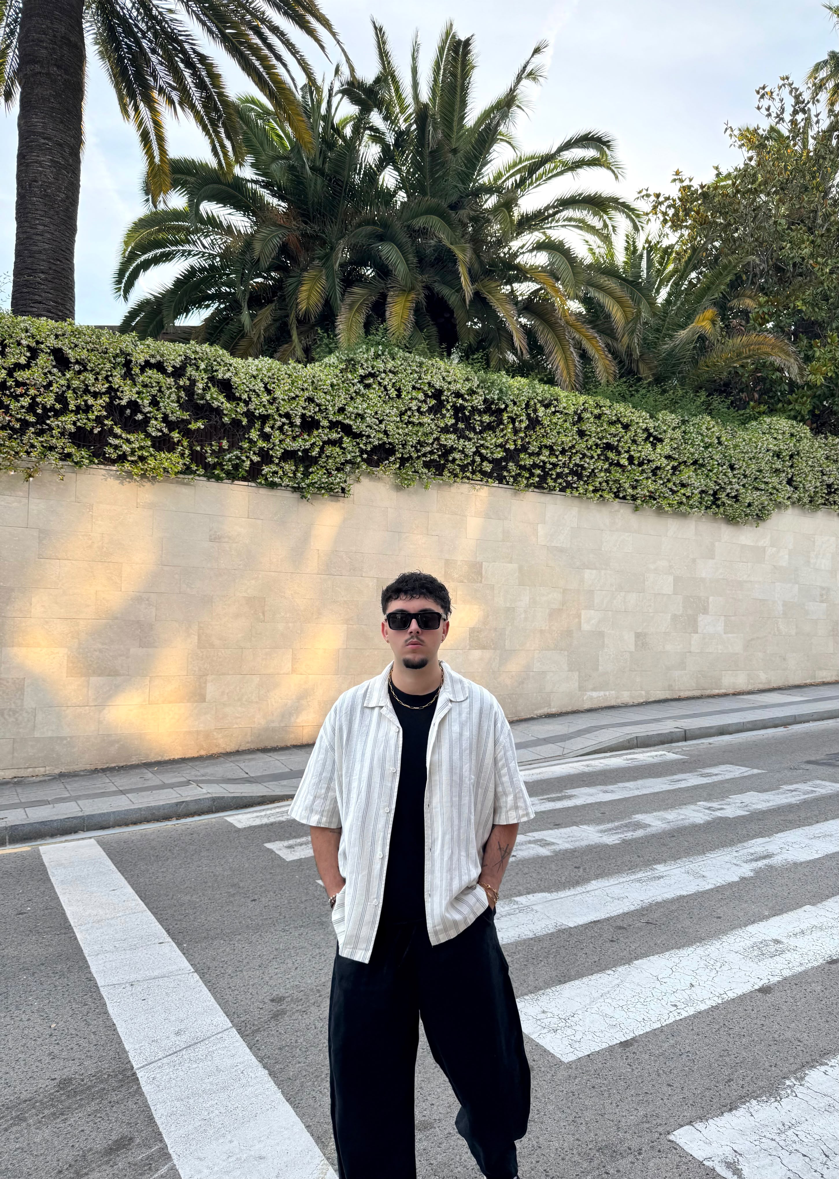 Zara collab